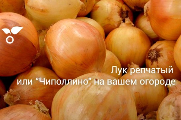 Сайты по продаже наркотиков