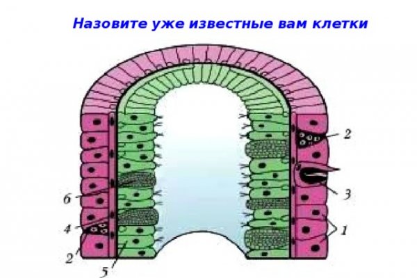 Кракен ссылка на тор официальная онион