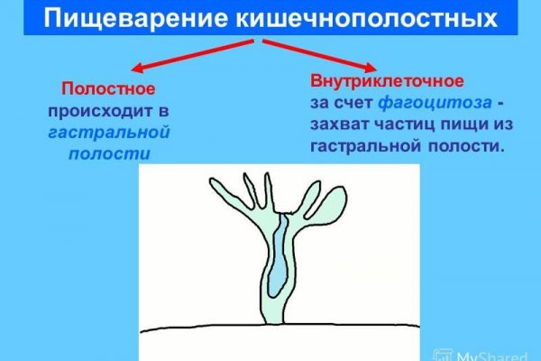 Кракен маркет плейс