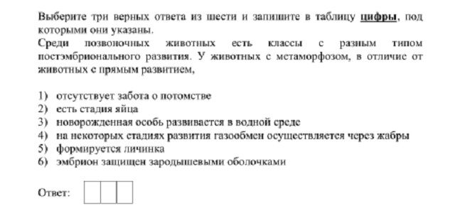 Кракен даркнет ссылка для тор