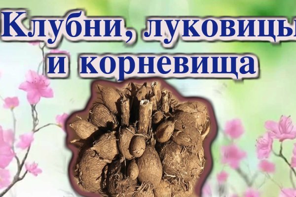 Kraken зеркало krakentor site
