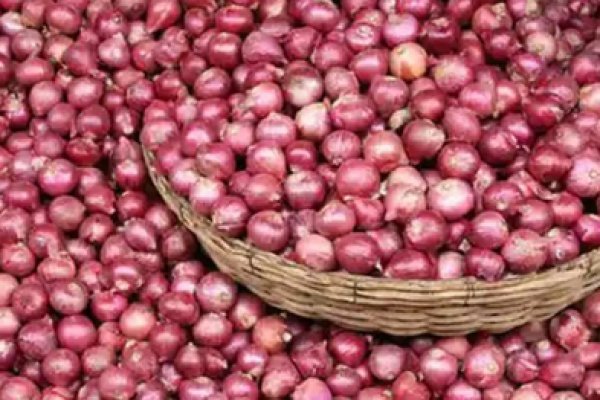 Что такое кракен маркетплейс курительный смесс