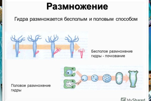 Не могу зайти на кракен