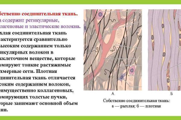 Актуальные ссылки кракен 2025