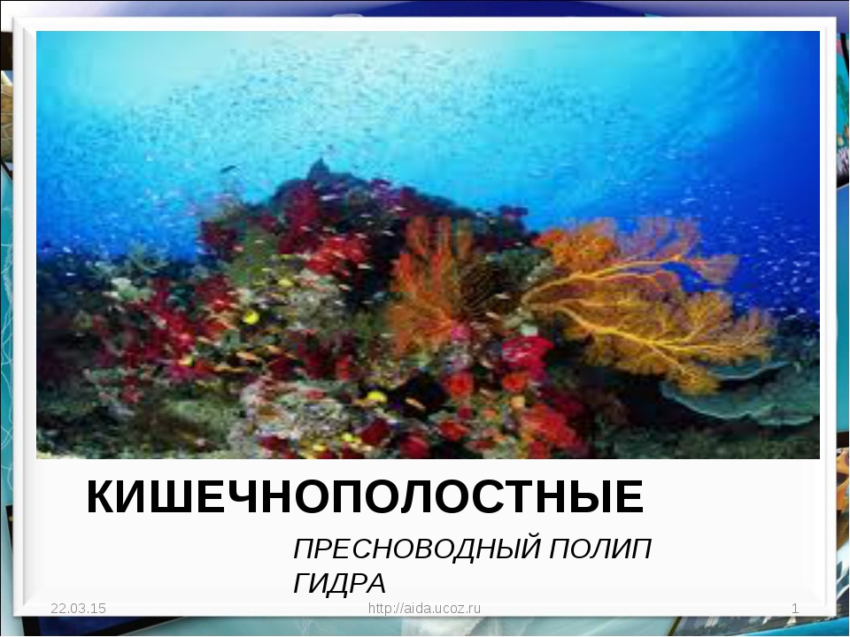 Кракен зеркало рабочее на сегодня
