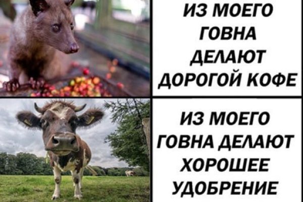 Кракен даркнет как зайти