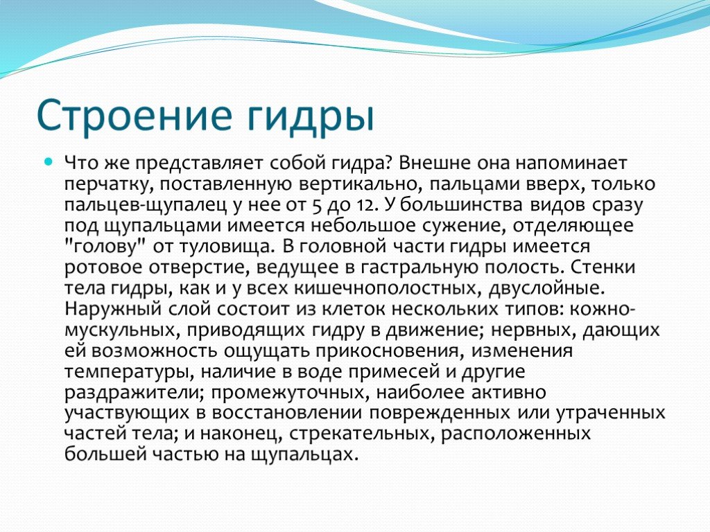 Магазин kraken даркнет
